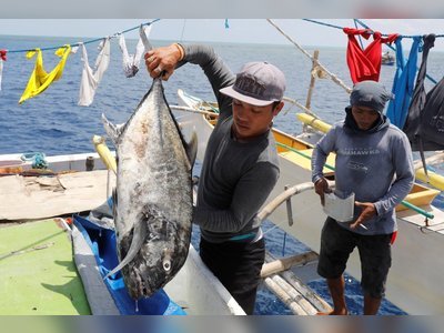 China will need more than charm to win over Asean, observers say