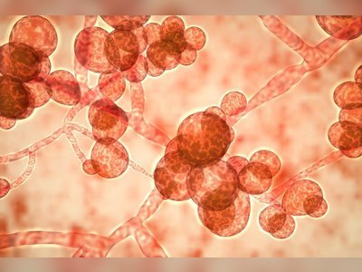 Potentially fatal superbug in Hong Kong public hospitals – and it’s not Covid-19