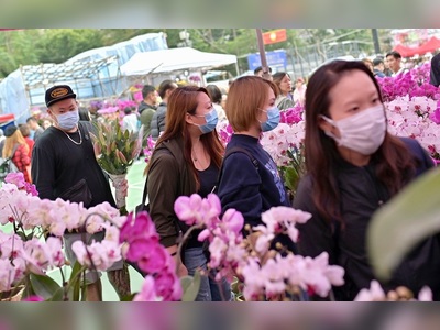 Lunar New Year fairs to resume flower selling with number of stalls halved