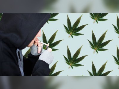 'Superweed' flooding UK as people switch to cannabis for Dry January