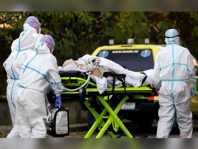 Czechs ask Germany, Poland, Switzerland for help with COVID-19 patients