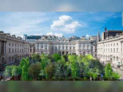 Artist unveils ambitious plans for a forest in central London