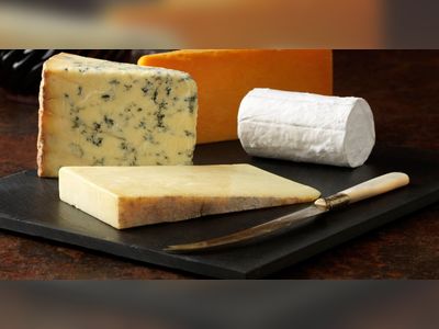 Eating cheese and red wine can reduce your risk of Alzheimer's, study claims