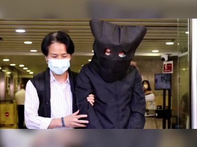 Five arrested in Hong Kong over children's books