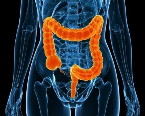 Two thousand people diagnosed with colorectal cancer in govt screening program