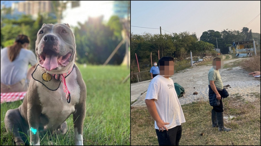 Pet dog Hippo beaten to death by group of people in front of owner