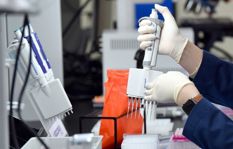 Hong Kong, Australian universities discover T cells effective to tackle Omicron | Macau Business