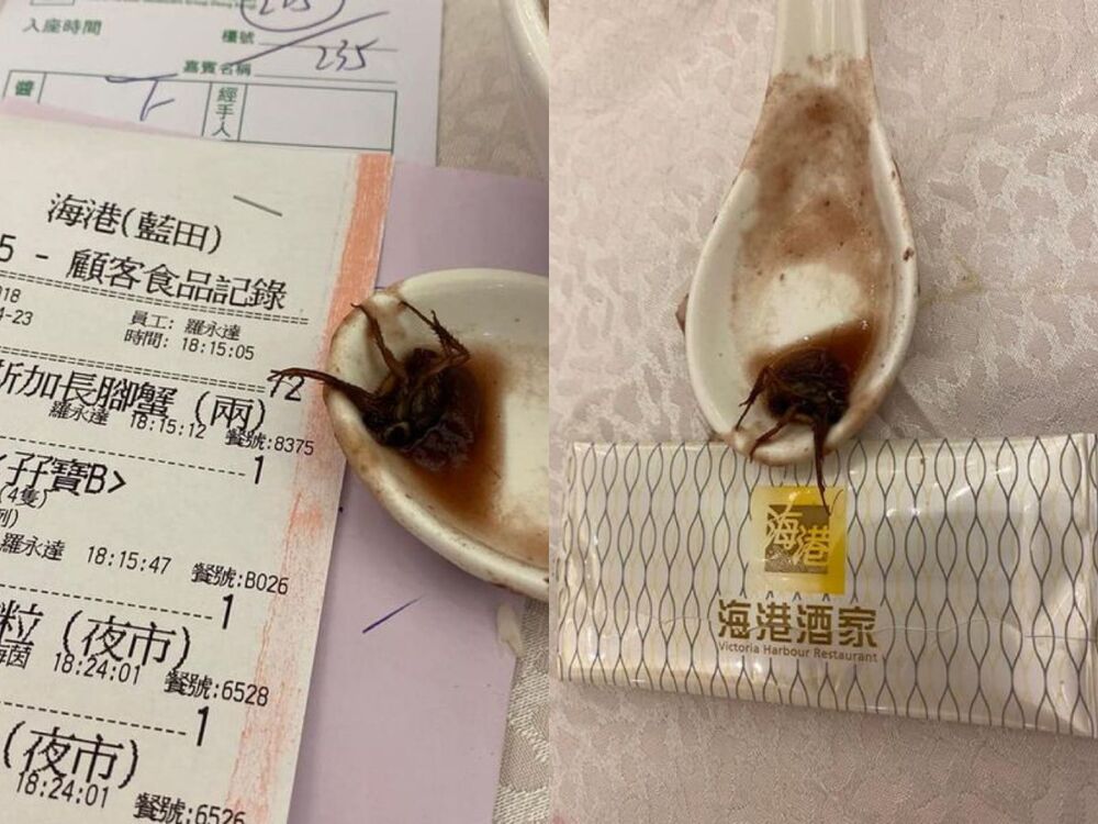 (Central Station) What&rsquo;s worse than finding a cockroach in your red bean soup? Finding half a cockroach!