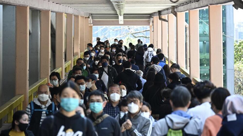 HK sees 290 new Covid cases, 45 reported by schools