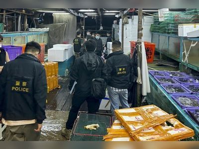 Hong Kong watchdog investigates fish market over price fixing allegations