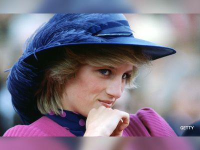 "Nothing Shy About Her": Ex-Royal Press Secretary On Princess Diana's Nickname